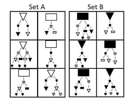 ukcat-test-exam